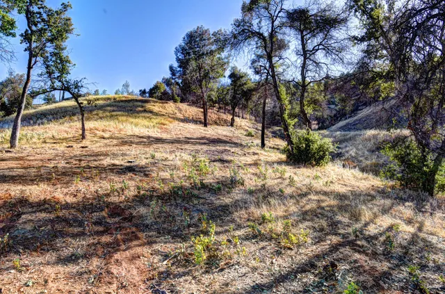 a view of a yard with wooden fence