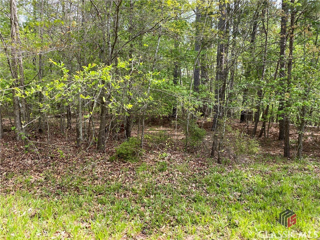 0 Winding Oak Ridge, Unit 7 Jefferson, GA 30549 - Photo 6 of 7