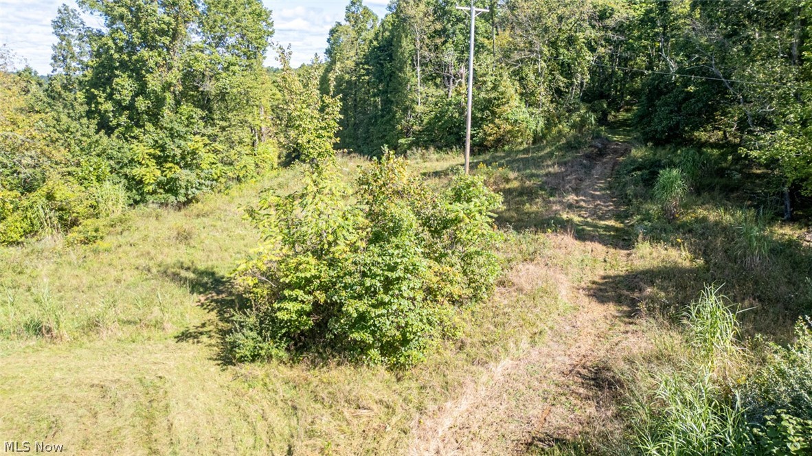0 Southeast Kleski Road Tippecanoe, OH 44699 - Photo 22 of 33 Gallery Image 22