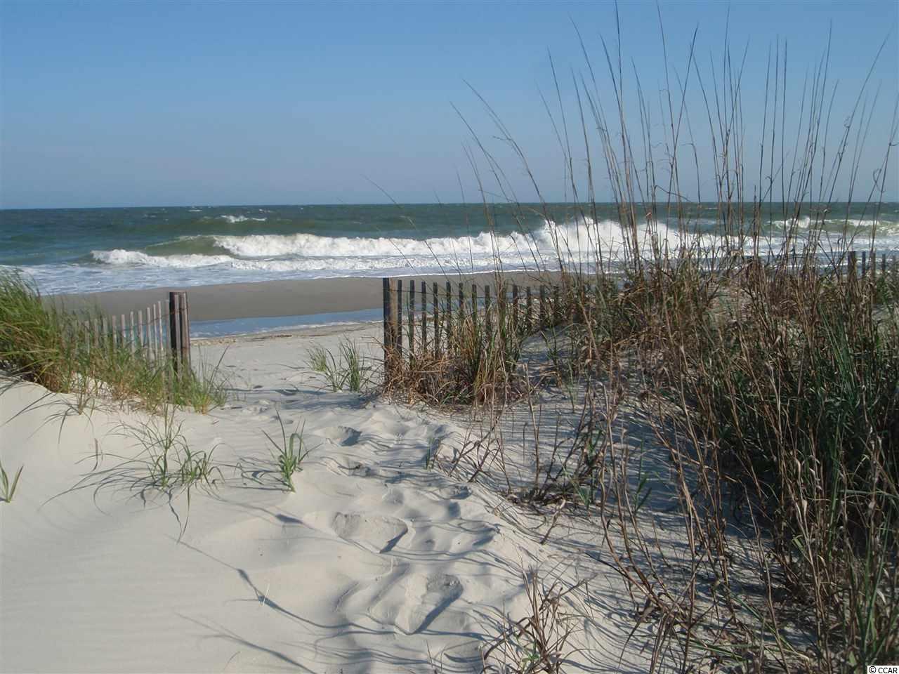 167 Jamestowne Landing Road Murrells Inlet, SC 29576 - Photo 23 of 23