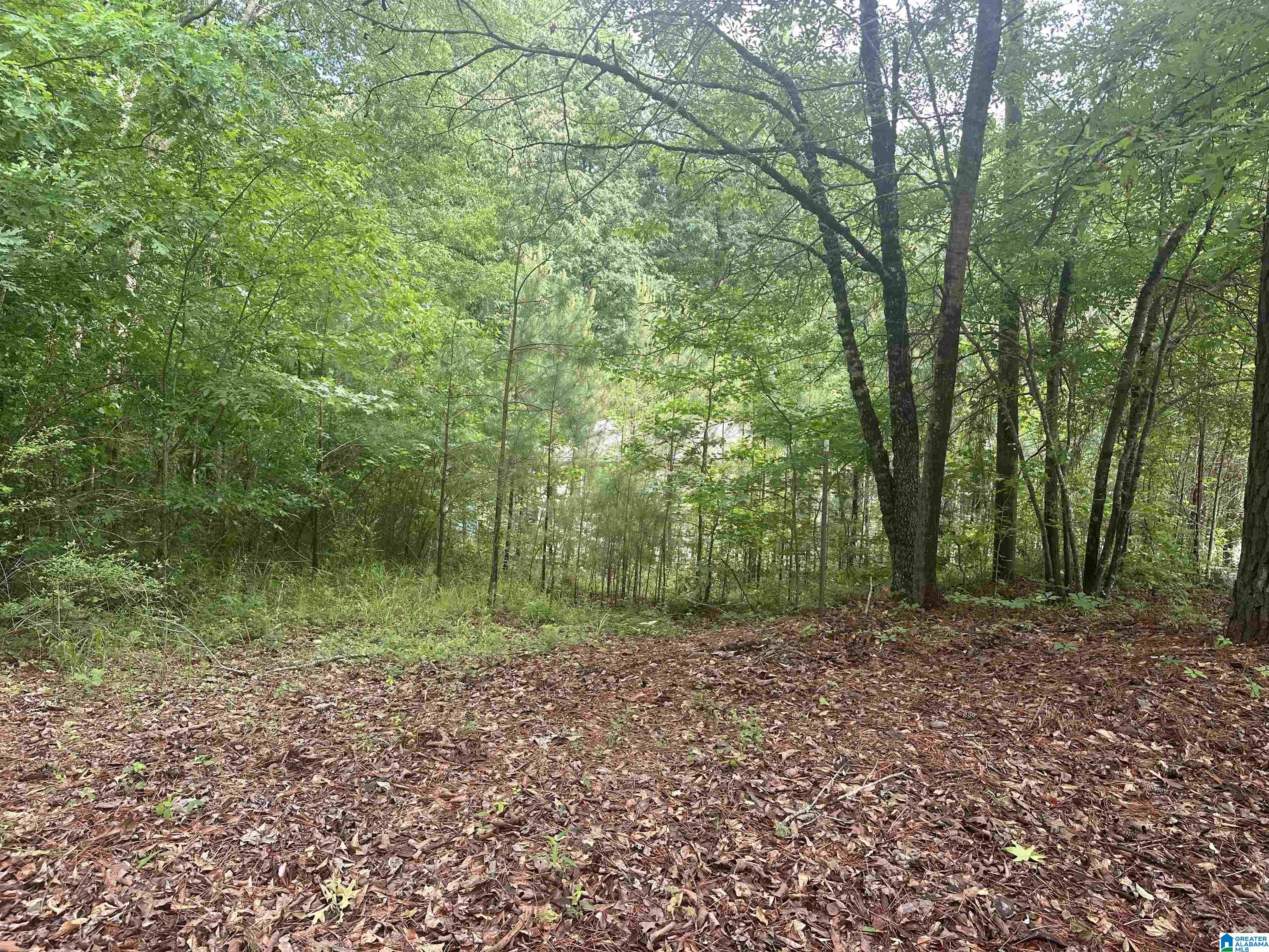 3098 McClendon Chapel Road Bessemer, AL 35022 - Photo 4 of 16