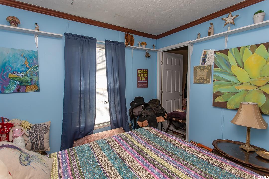 1051 Hunter Way Conway, SC 29526 - Photo 20 of 27 Bedroom featuring ornamental molding and a texture