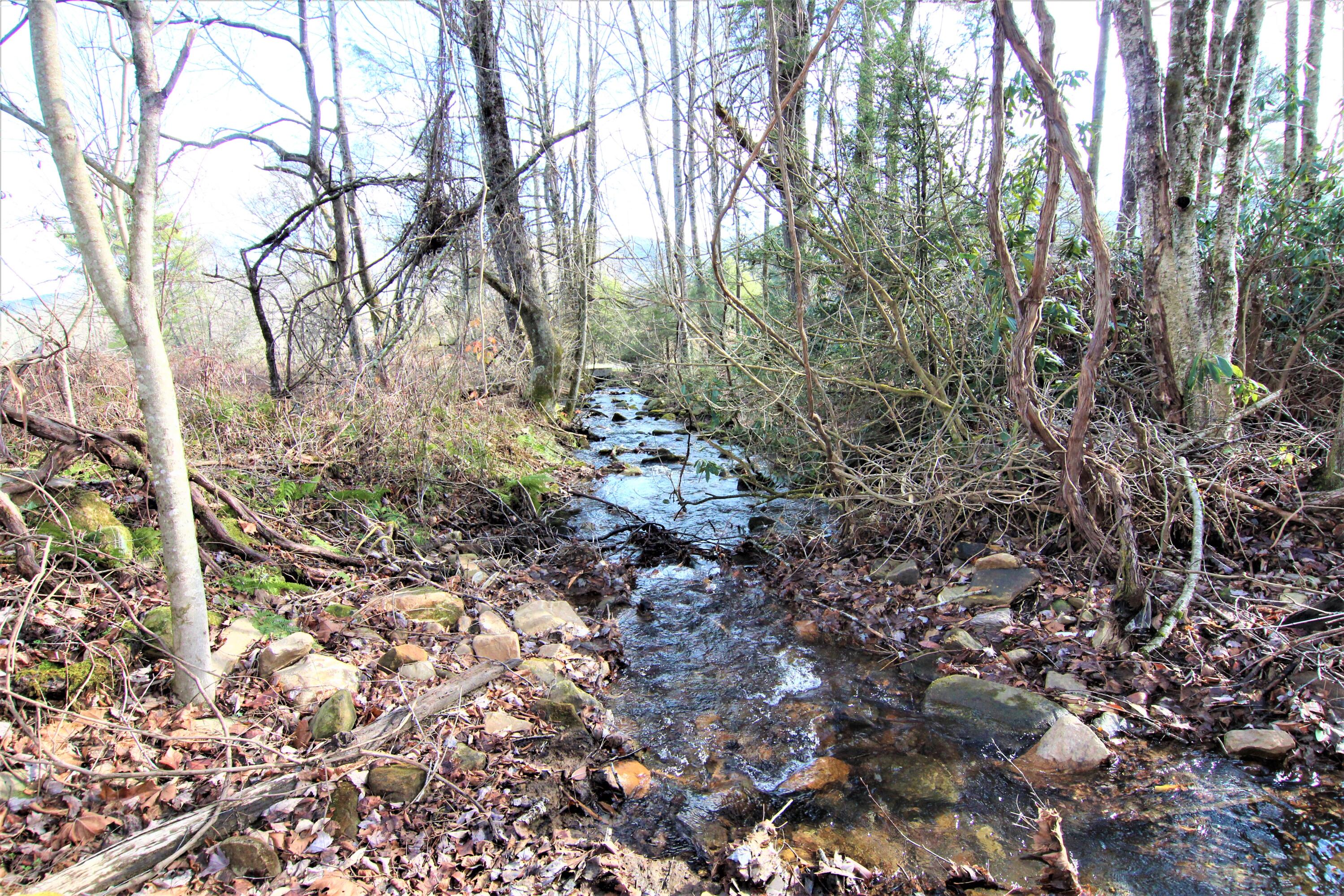 0 Orchard Road Shady Valley, TN 37688 - Photo 1 of 9 IMG_0561 (2)