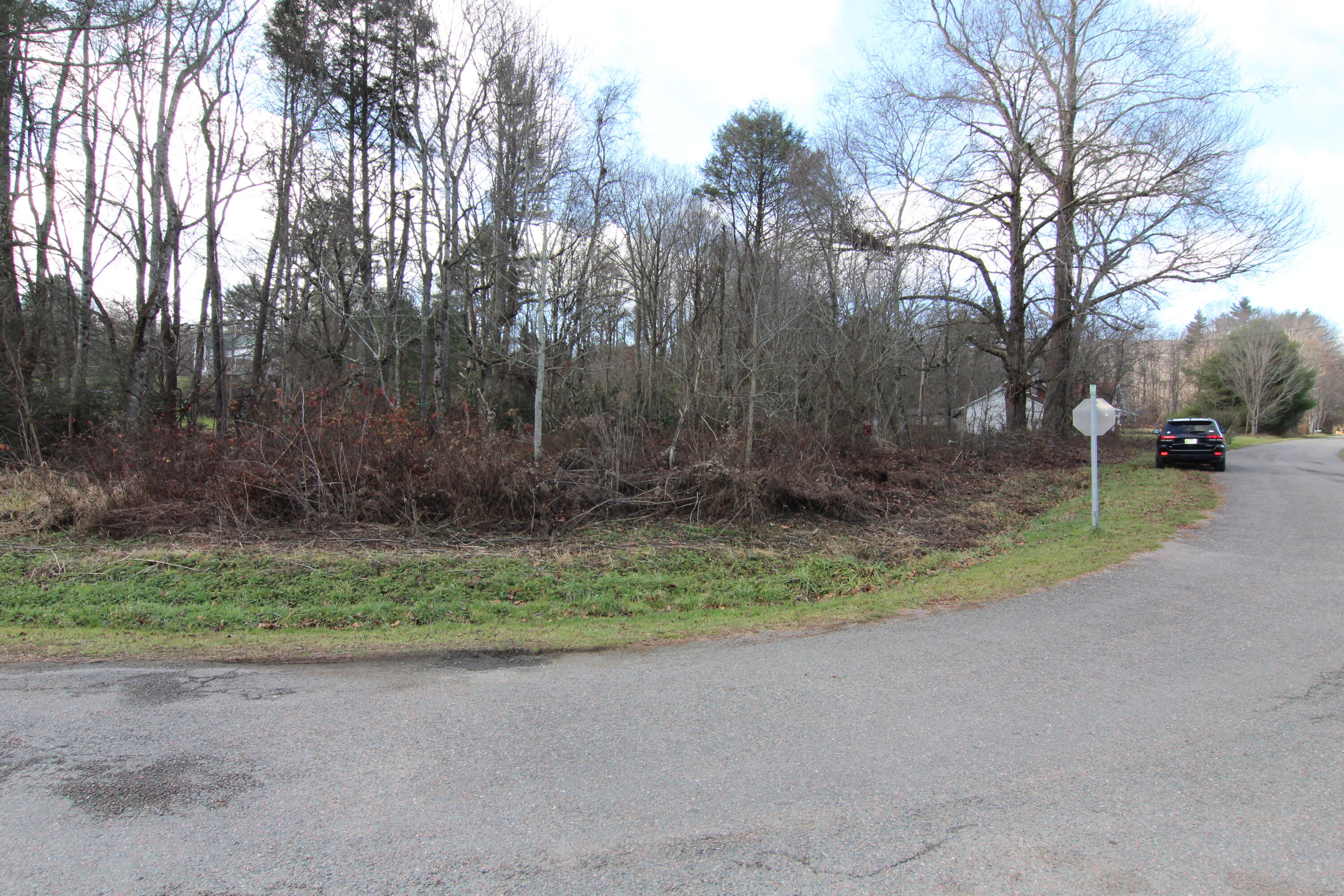 0 Orchard Road Shady Valley, TN 37688 - Photo 3 of 9 IMG_0553