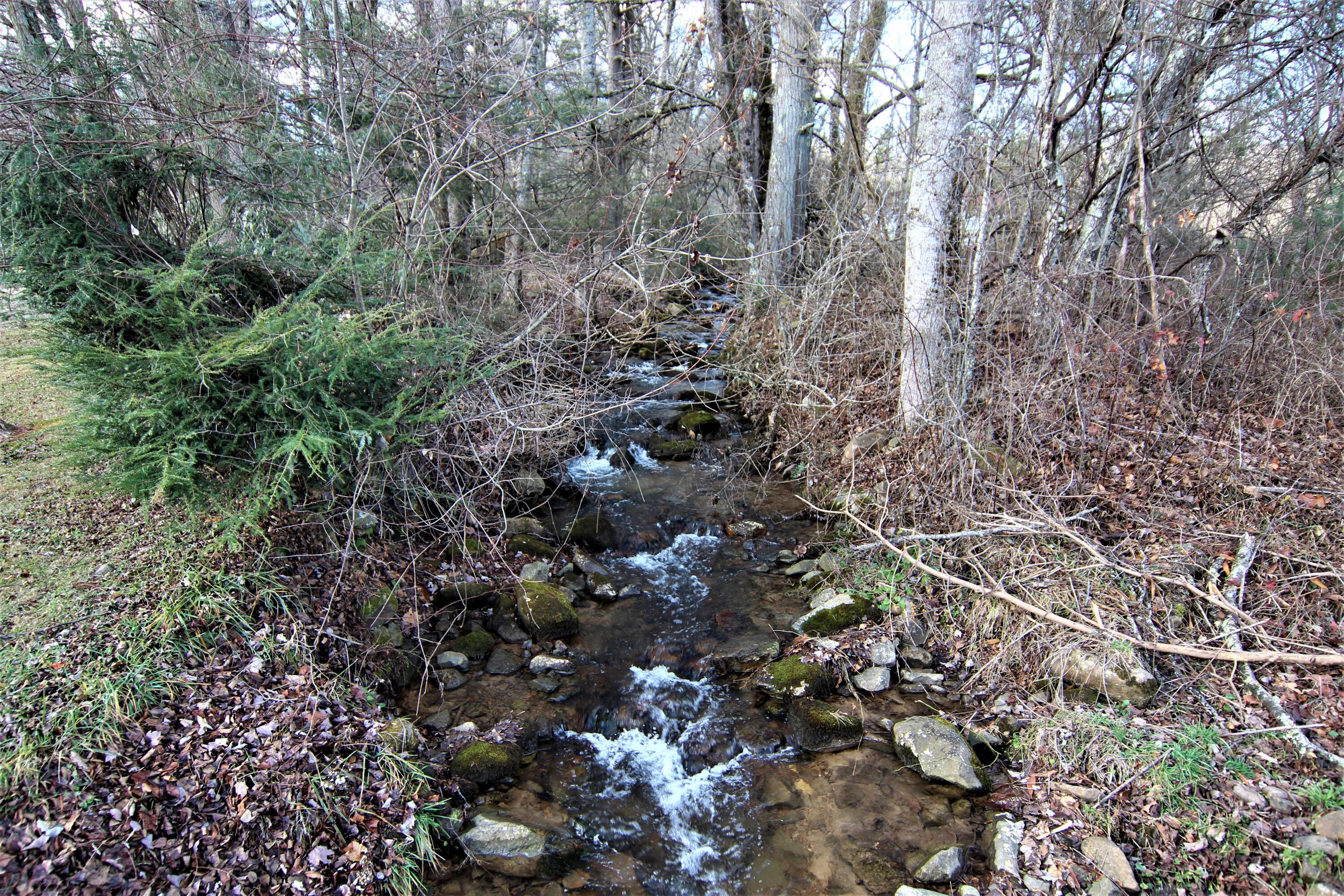 0 Orchard Road Shady Valley, TN 37688 - Photo 5 of 9 IMG_0556 (2)