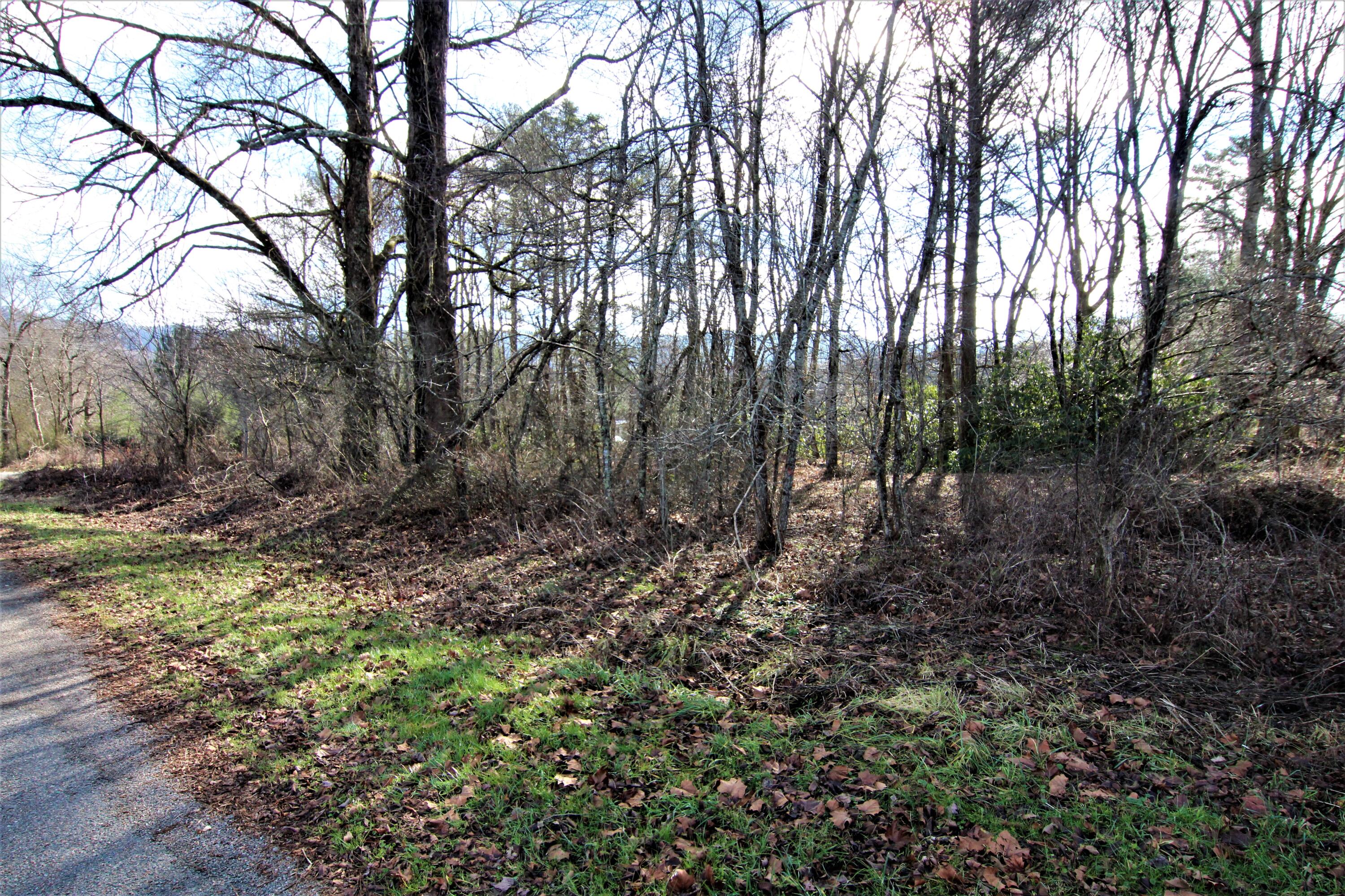 0 Orchard Road Shady Valley, TN 37688 - Photo 8 of 9 IMG_0566 (2)
