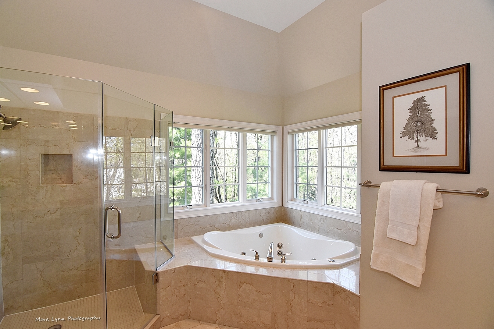 4N558 Hidden Oaks Road St. Charles, IL 60175 - Photo 30 of 57