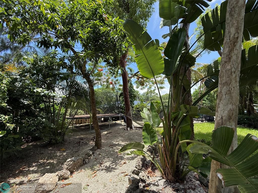 22990 Southwest 156th Avenue Miami, FL 33170 - Photo 40 of 41 a view of outdoor space