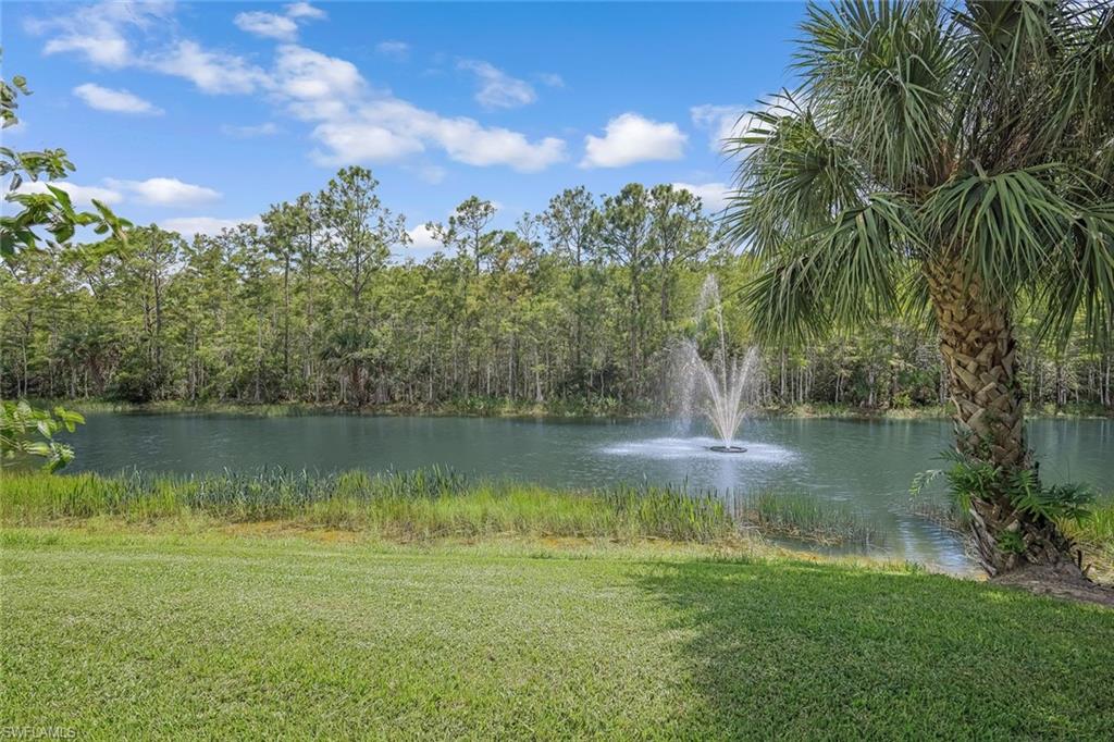 10221 Cape Roman Road, Unit 102 Estero, FL 34135 - Photo 24 of 49 View From The Villa. Private Lake & Preserve