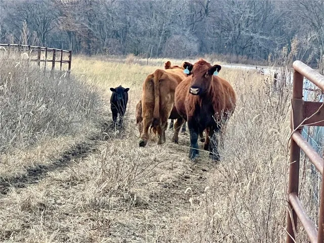 $375,000 | Ee Highway, Richmond, MO 64085