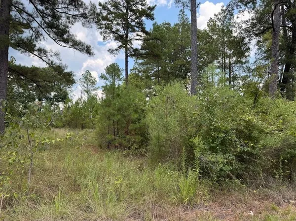 $40,000 | 0 Hwy 157 Benton La, Benton, LA 71006