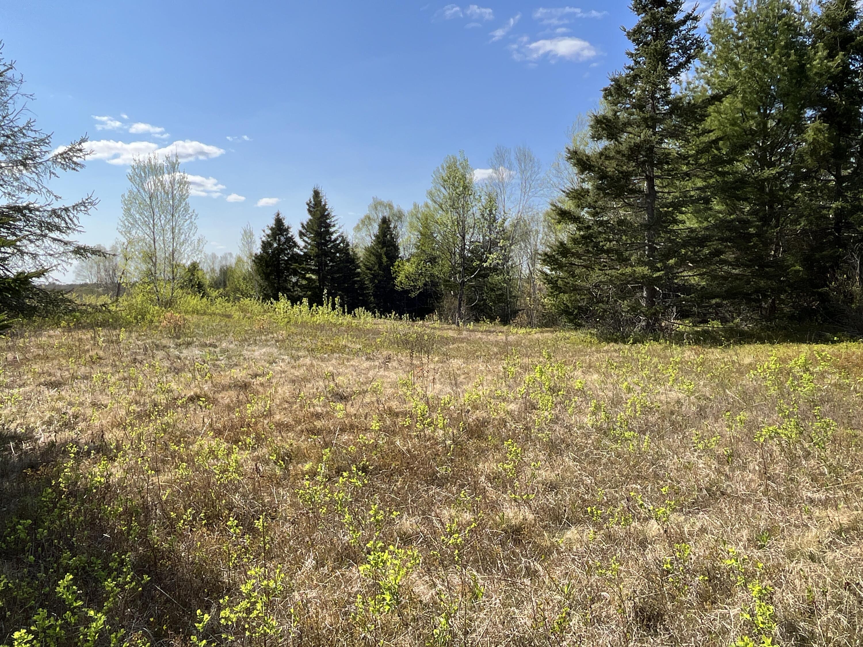 8 Blueberry Shrs Road Jonesport, ME 04649 - Photo 34 of 35 cleared building site