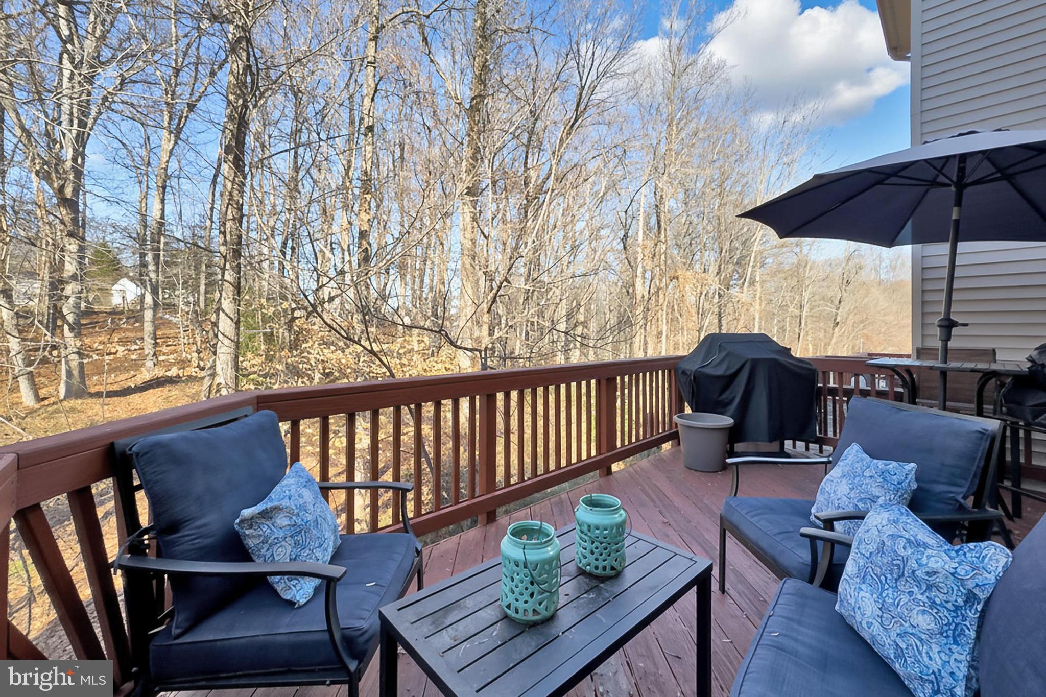 8445 Carmela Circle Springfield, VA 22153 - Photo 23 of 53 a outdoor living room with furniture
