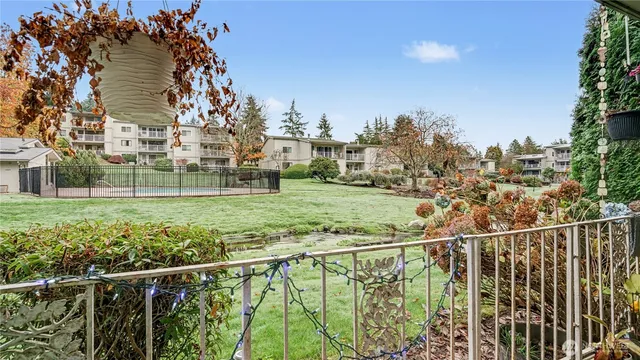 a view of a yard with a large trees