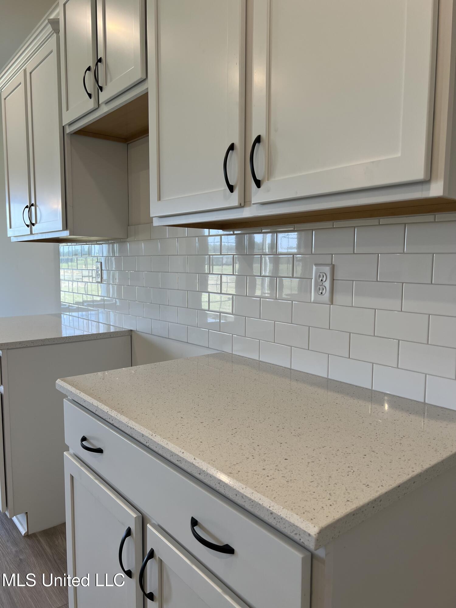 2545 Scott Mdws Lane Hernando, MS 38632 - Photo 12 of 24 IMG_4144