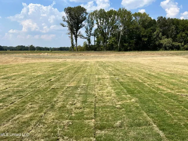 $433,900 | 2545 Scott Mdws Lane, Hernando, MS 38632