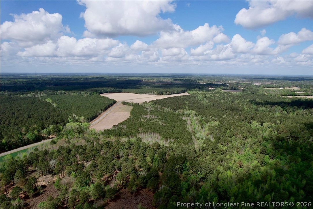 3331 Bogie Island Road Fayetteville, NC 28312 - Photo 6 of 10