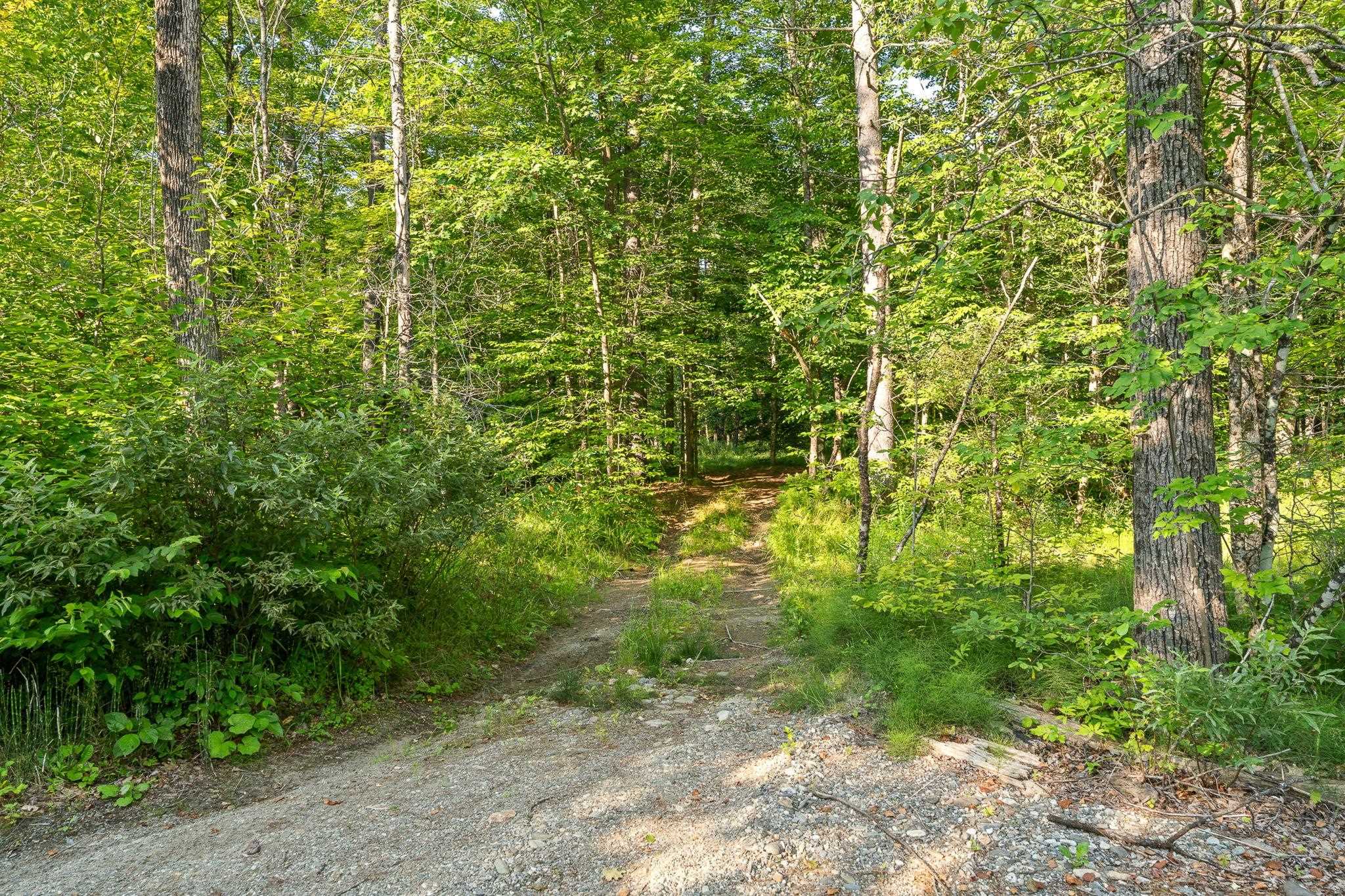 419 Baileys Mills Road Reading, VT 05062 - Photo 46 of 60