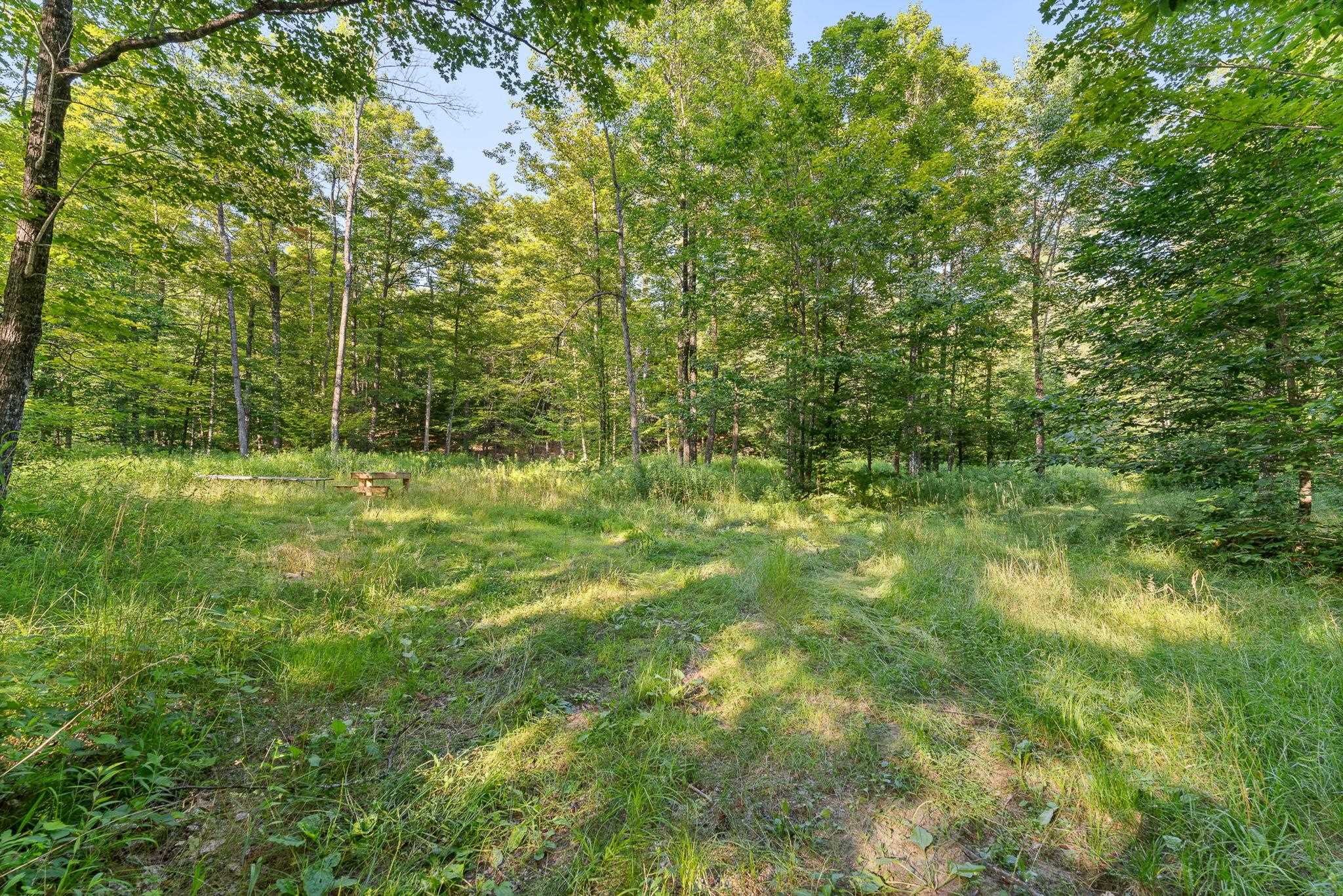 419 Baileys Mills Road Reading, VT 05062 - Photo 49 of 60