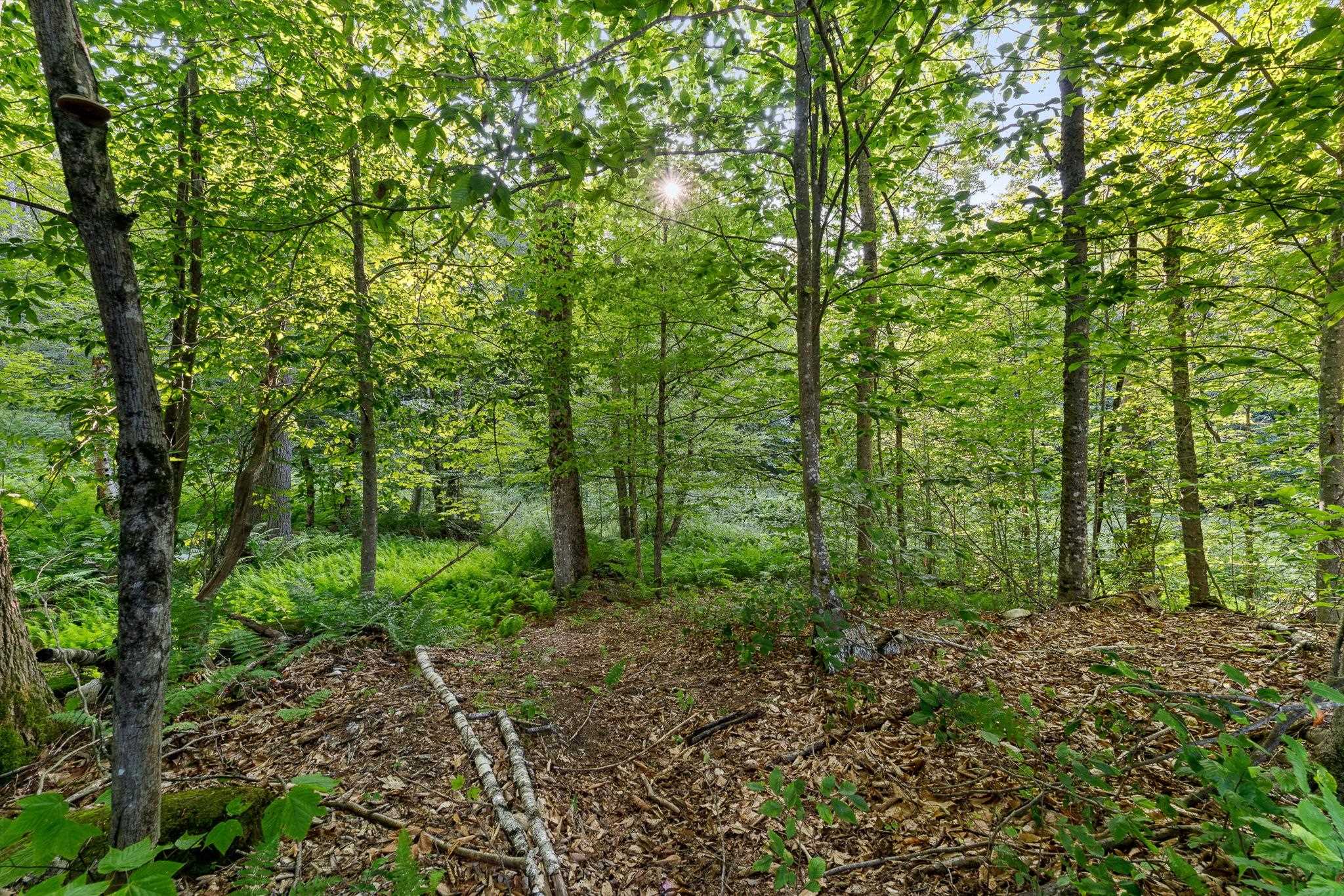 419 Baileys Mills Road Reading, VT 05062 - Photo 50 of 60
