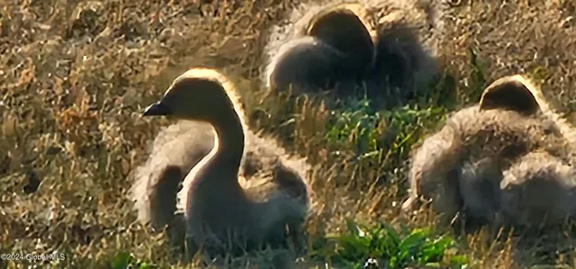 $576,000 | 346 Hudson Avenue, Mechanicville, NY 12118