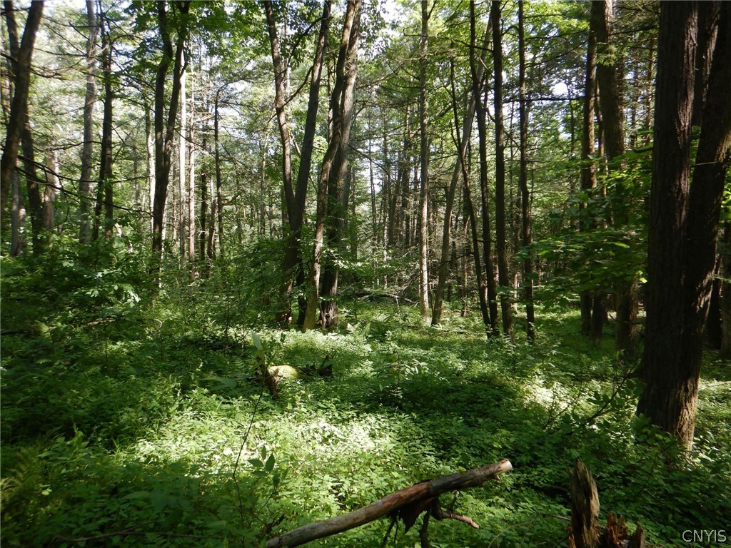 Bull Hill Road Newfield, NY 14867 - Photo 13 of 36