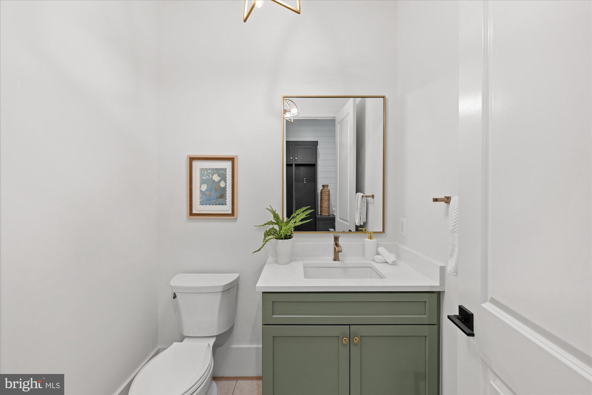 1701 Briar Ridge Road McLean, VA 22101 - Photo 66 of 139 Gallery Image 66