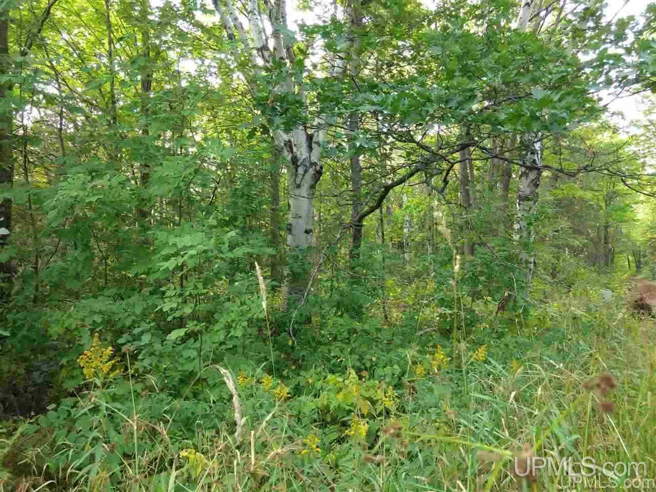 Tbd Off Woodland Road Calumet, MI 49913 - Photo 2 of 2