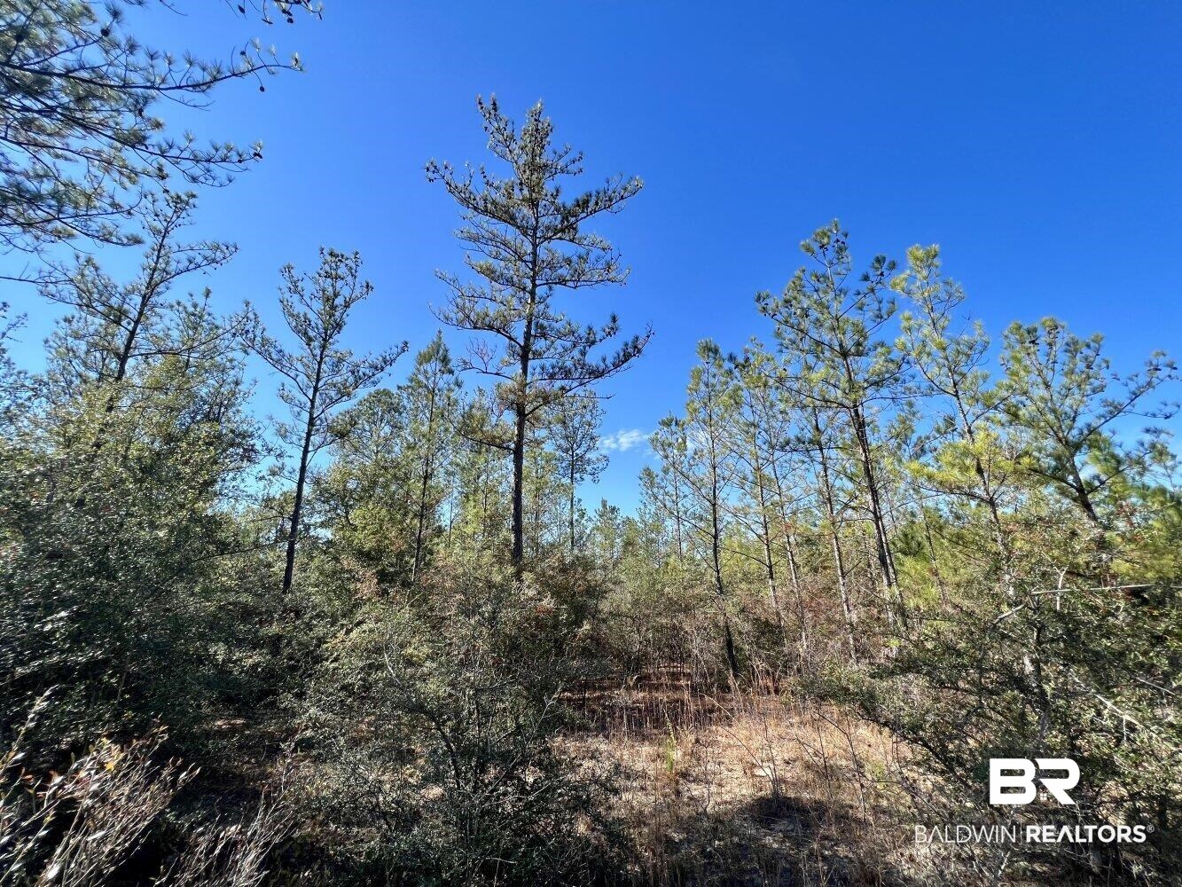 0 C C Road Chunchula, AL 36521 - Photo 1 of 27