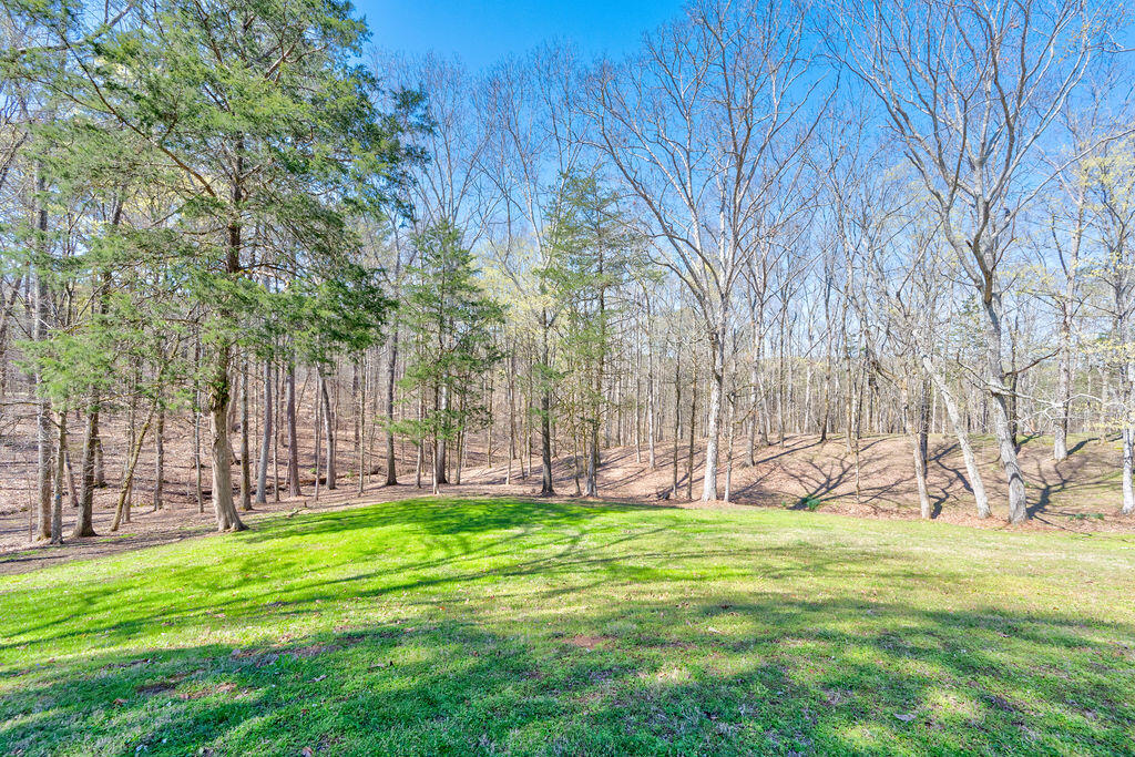 638 Old Three Notch Road Ringgold, GA 30736 - Photo 55 of 80 638OldThreeNotch-18