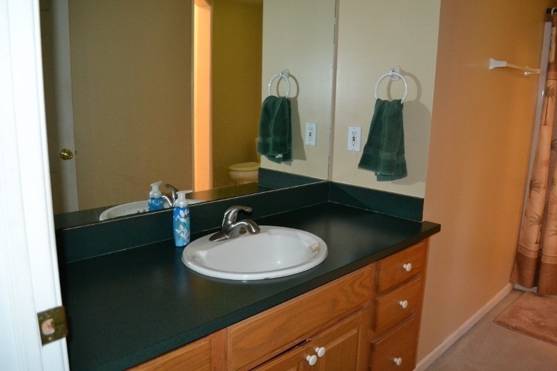5919 East Valley Road Mount Pleasant, MI 48858 - Photo 15 of 19 1805320-14.JPG