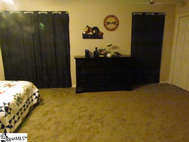 248 Oak Grove Road Landrum, SC 29356 - Photo 11 of 14