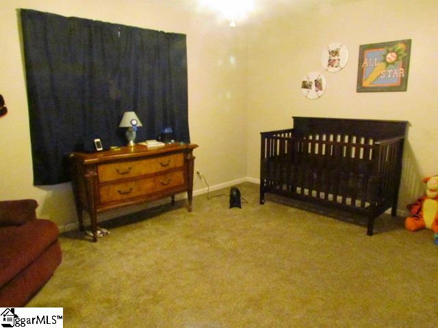 248 Oak Grove Road Landrum, SC 29356 - Photo 10 of 14