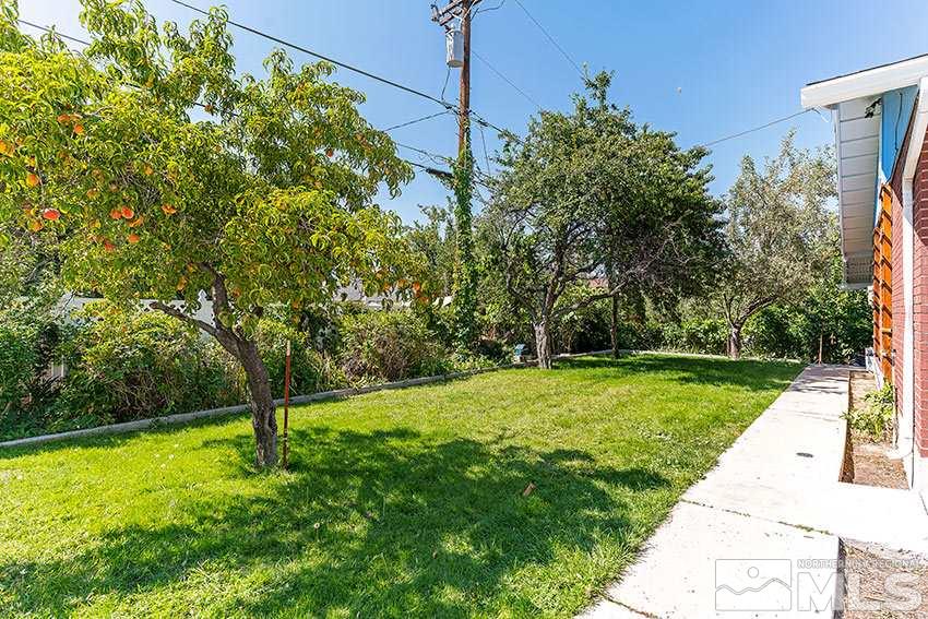 903 Lyman Avenue Reno, NV 89509 - Photo 3 of 4 Photo 3