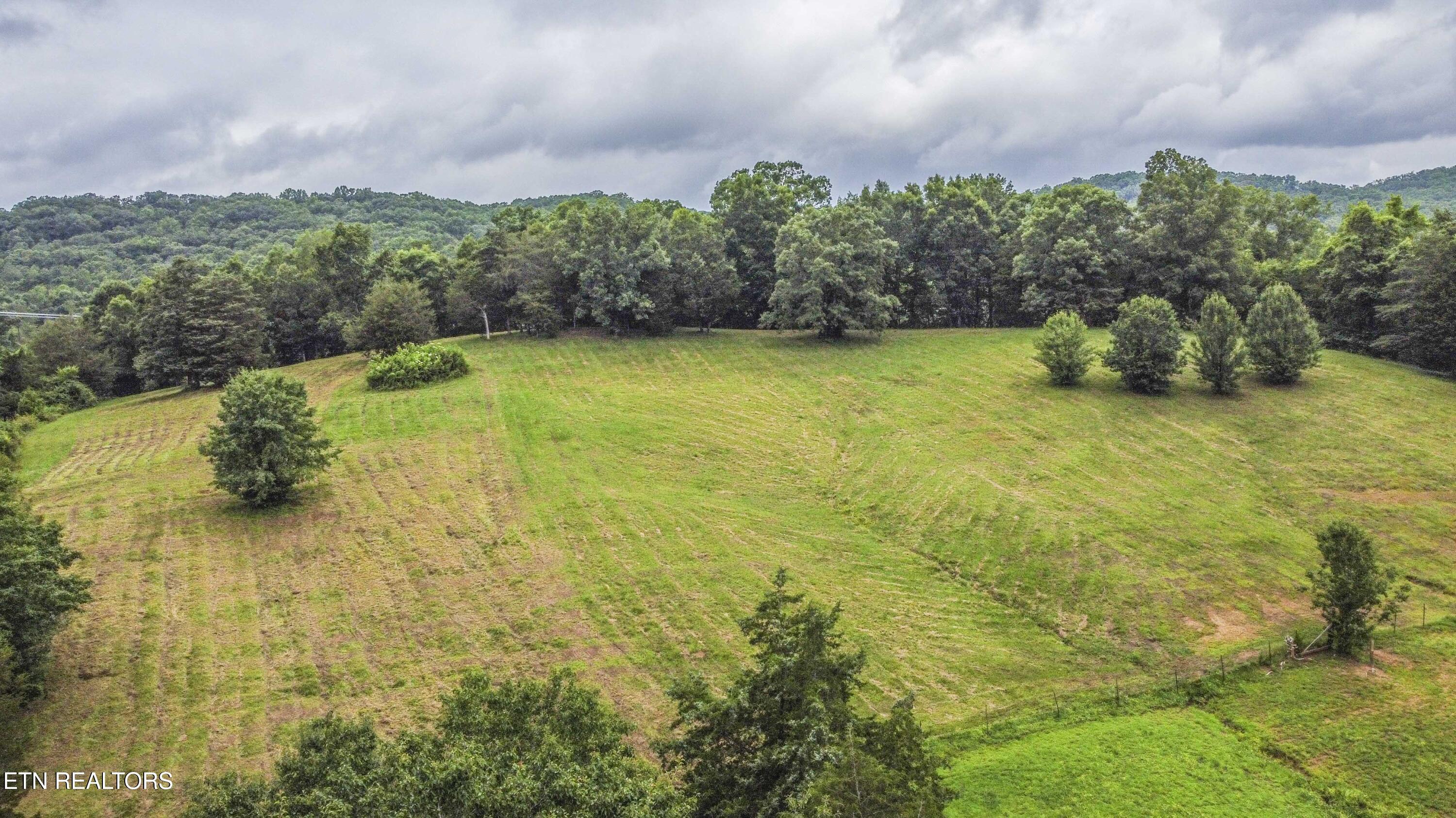 1246 Laurel Bluff Road Kingston, TN 37763 - Photo 32 of 60 drone