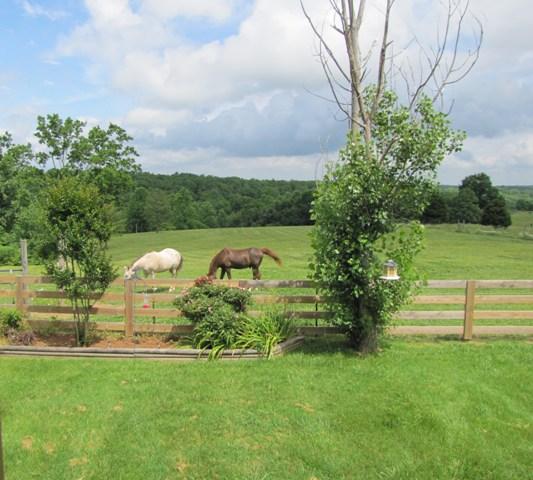7761 Shoals Branch Road Primm Springs, TN 38476 - Photo 18 of 20 Watch the horses in the back field from the screened back porch. Beautiful sunset views from here too!
