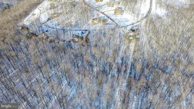 a view of a dry yard