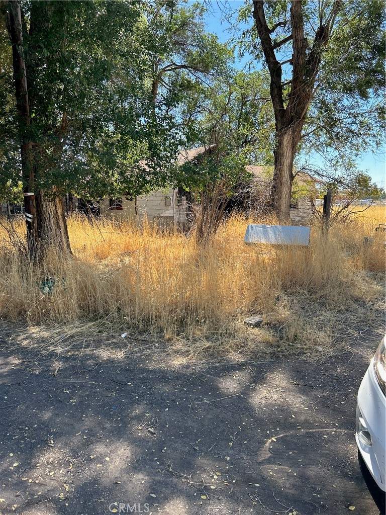 900 Maple Street Alturas, CA 96101 - Photo 3 of 3 a view of outdoor space with trees