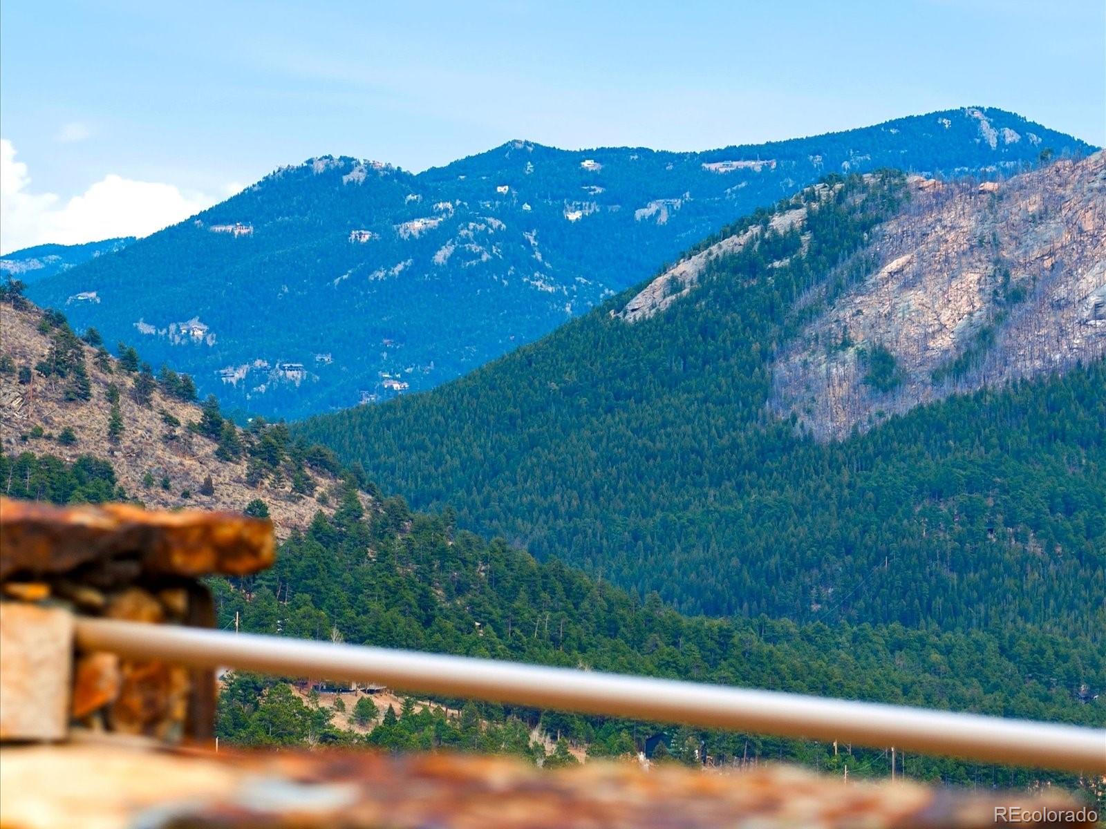 187 Fox Ridge Drive Evergreen, CO 80439 - Photo 45 of 49 a view of a yard with potted plants
