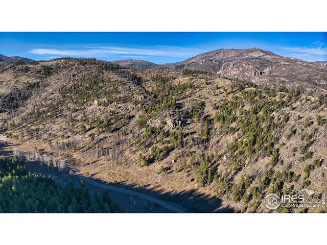 a view of a mountain from a yard