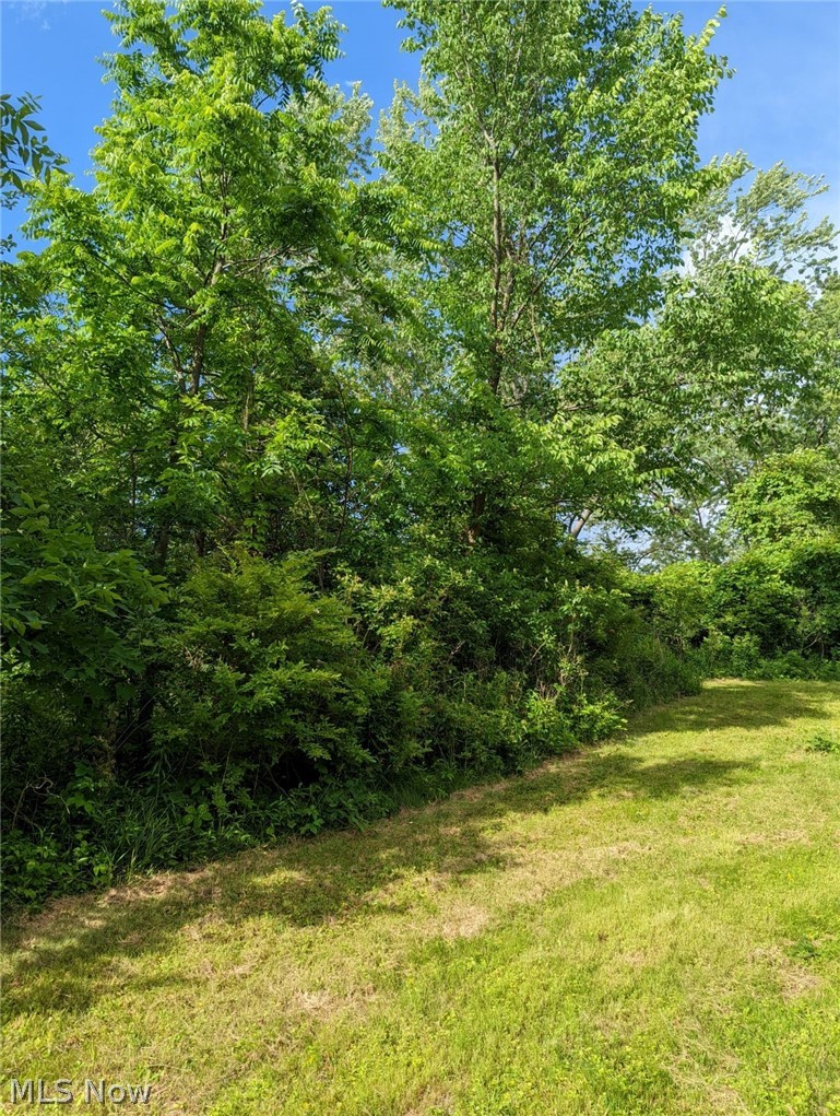 467 Center Road Hinckley, OH 44233 - Photo 8 of 20 summer photo showing trees