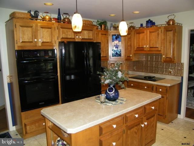 5367 Field Pointe Drive Spring Grove, PA 17362 - Photo 9 of 36