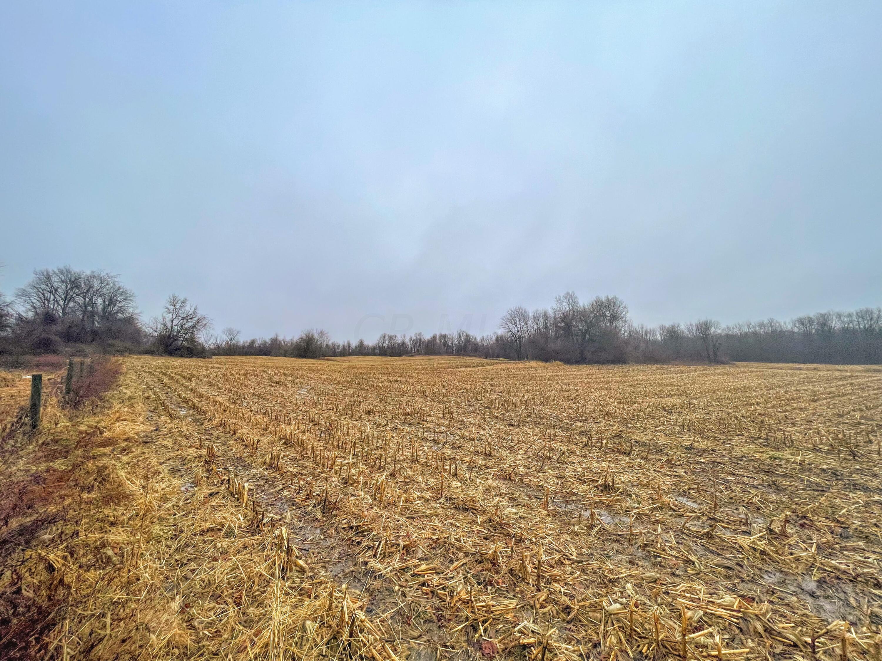 0 York Road Southwest Pataskala, OH 43062 - Photo 8 of 22 1