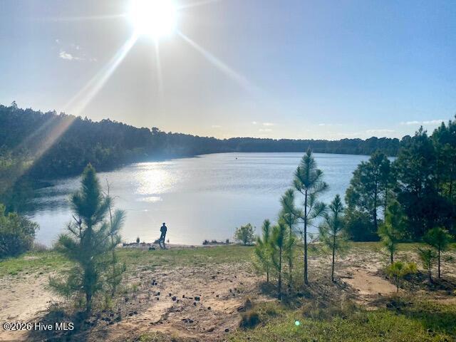 2401 White Road Wilmington, NC 28411 - Photo 41 of 44 Smith Creek Lake