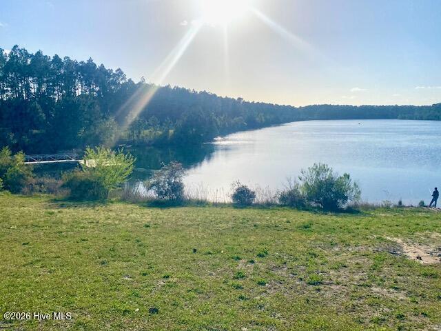 2401 White Road Wilmington, NC 28411 - Photo 42 of 44 Smith Creek Lake