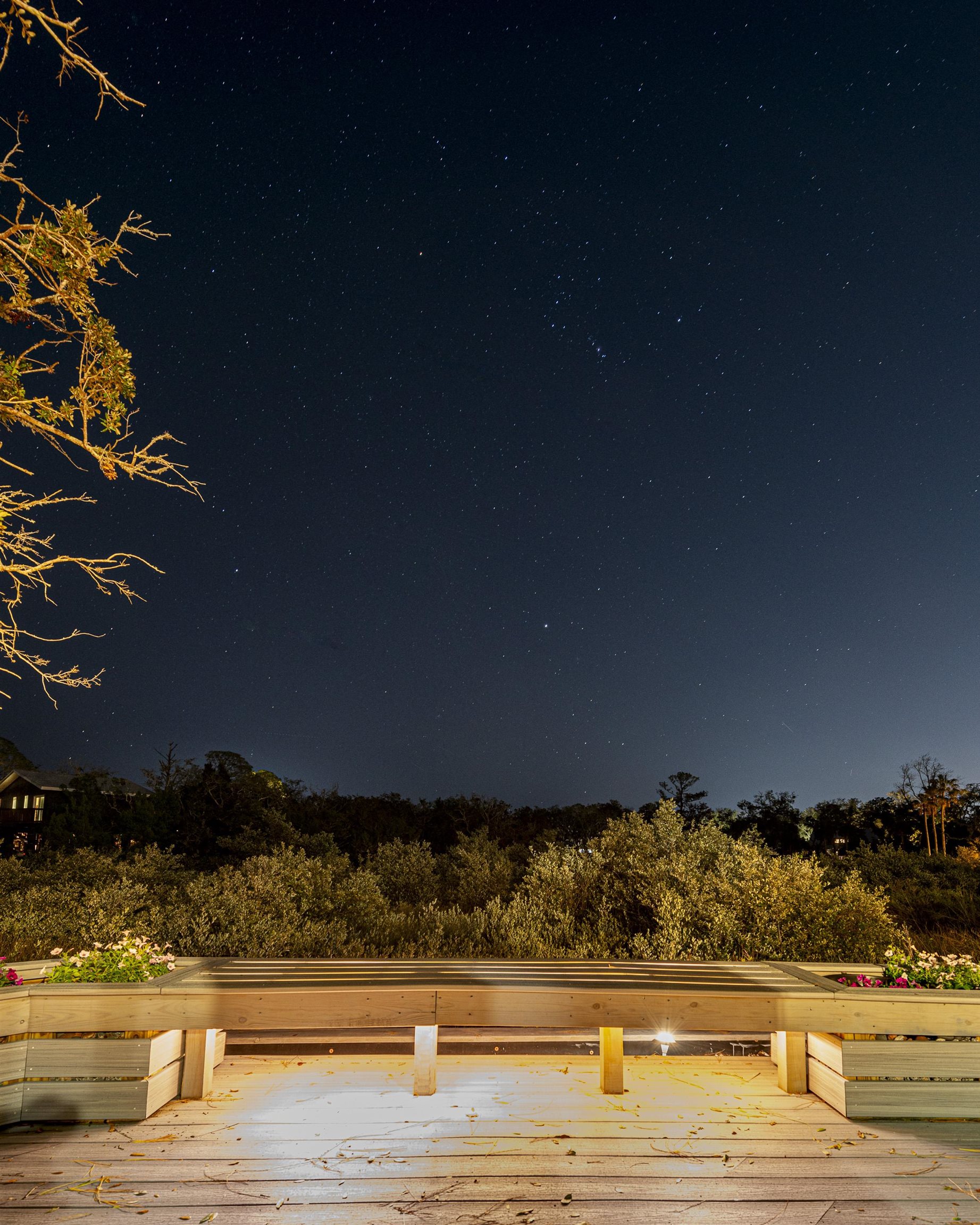 37 Oak Street St. Augustine, FL 32084 - Photo 40 of 65