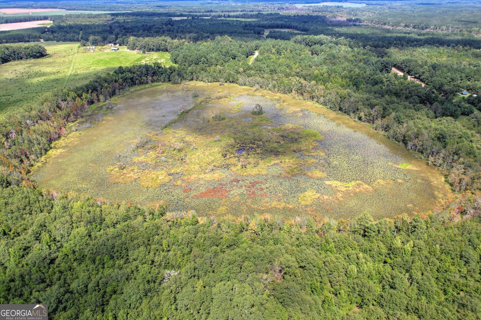 3280 Eden Church Road Louisville, GA 30434 - Photo 12 of 19 a view of a back yard of a house