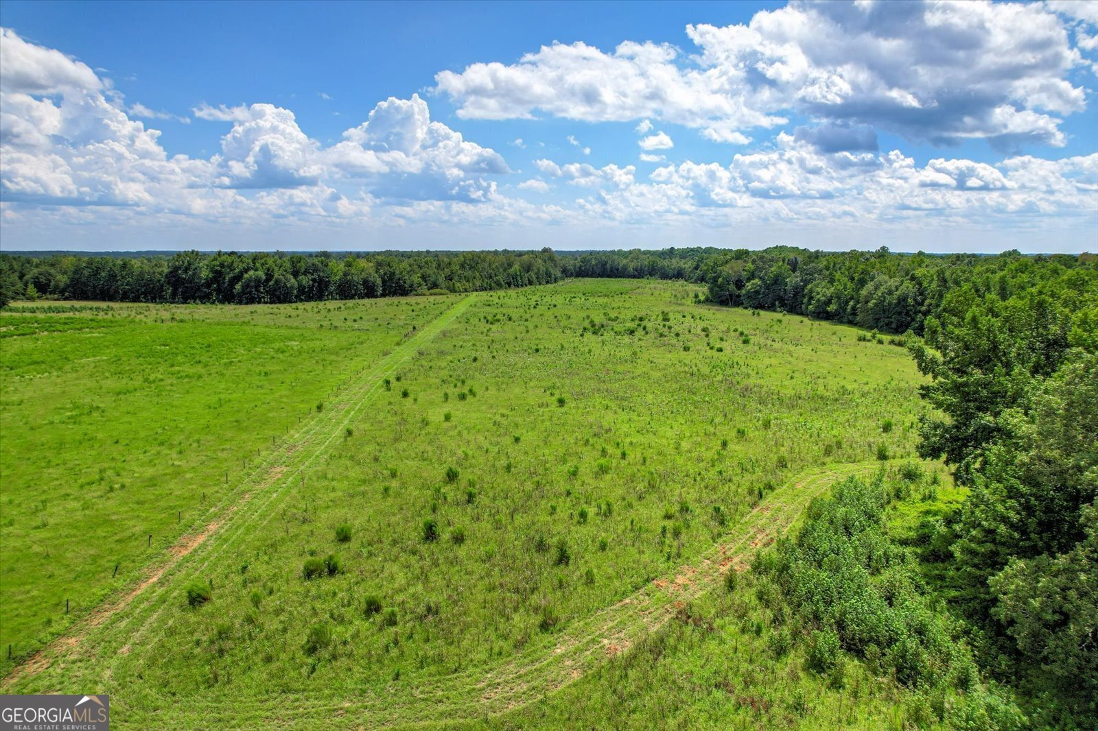 3280 Eden Church Road Louisville, GA 30434 - Photo 13 of 19 a view of a big yard with lots of green space