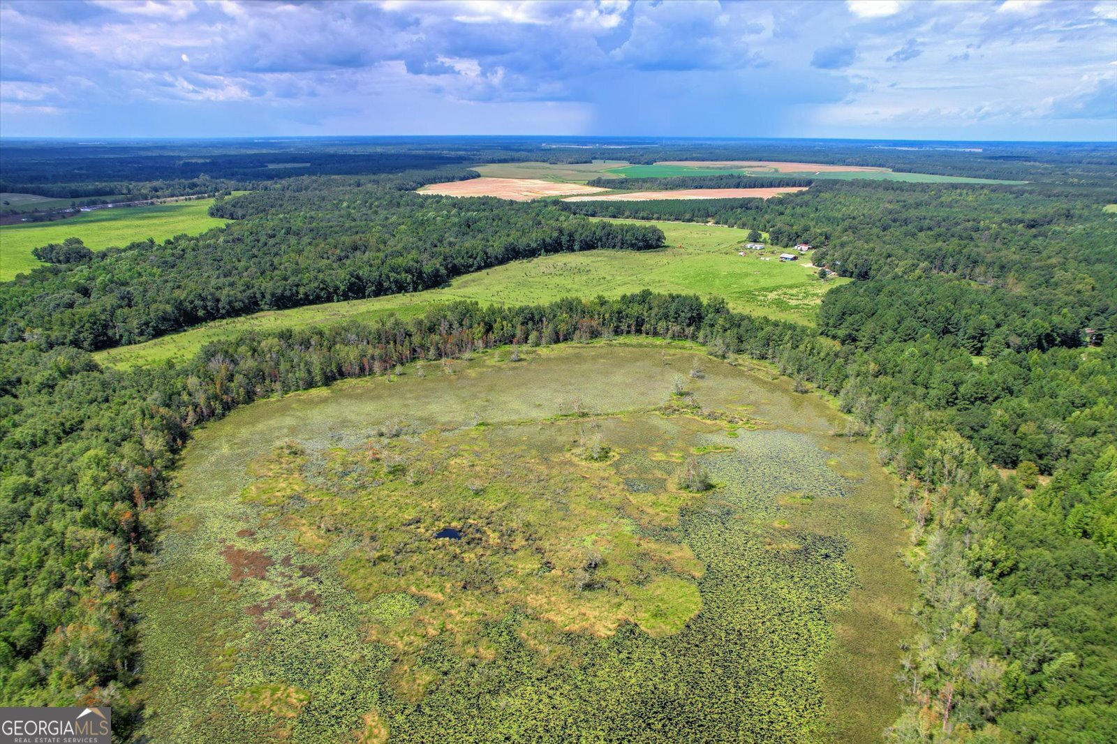 3280 Eden Church Road Louisville, GA 30434 - Photo 17 of 19 a view of a yard with an outdoor space