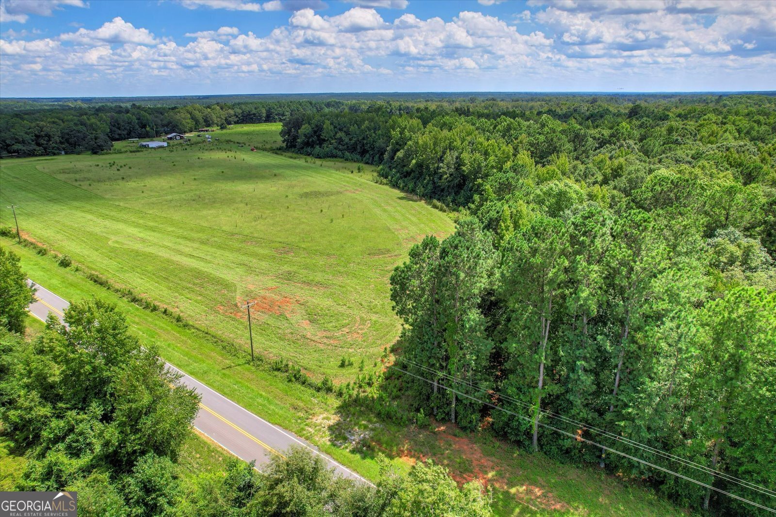 3280 Eden Church Road Louisville, GA 30434 - Photo 19 of 19 a view of a big yard with swimming pool